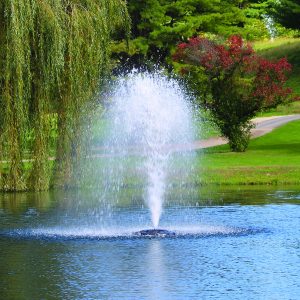 Kasco J Series Fountain