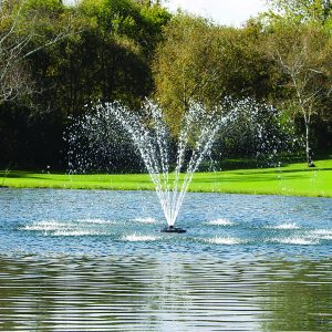 Kasco J Series Fountain