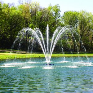 Kasco J Series Fountain