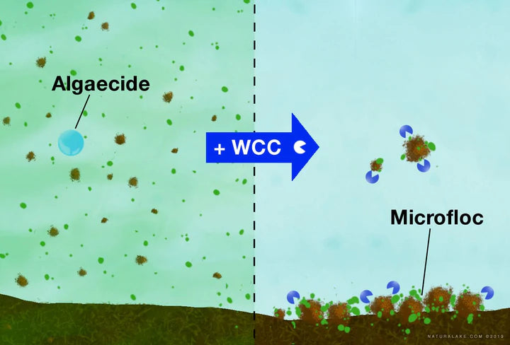 Water Column Clarifier