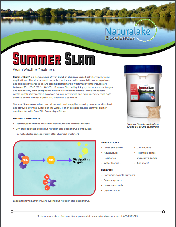 Summer Slam