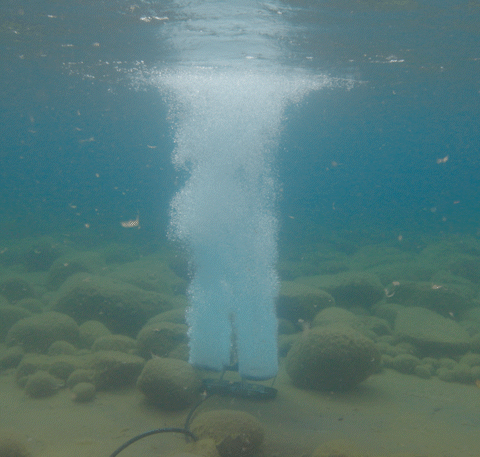 Kasco RobustAire dual-loop diffuser operating underwater