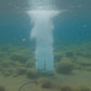 Kasco RobustAire dual-loop diffuser releasing air underwater