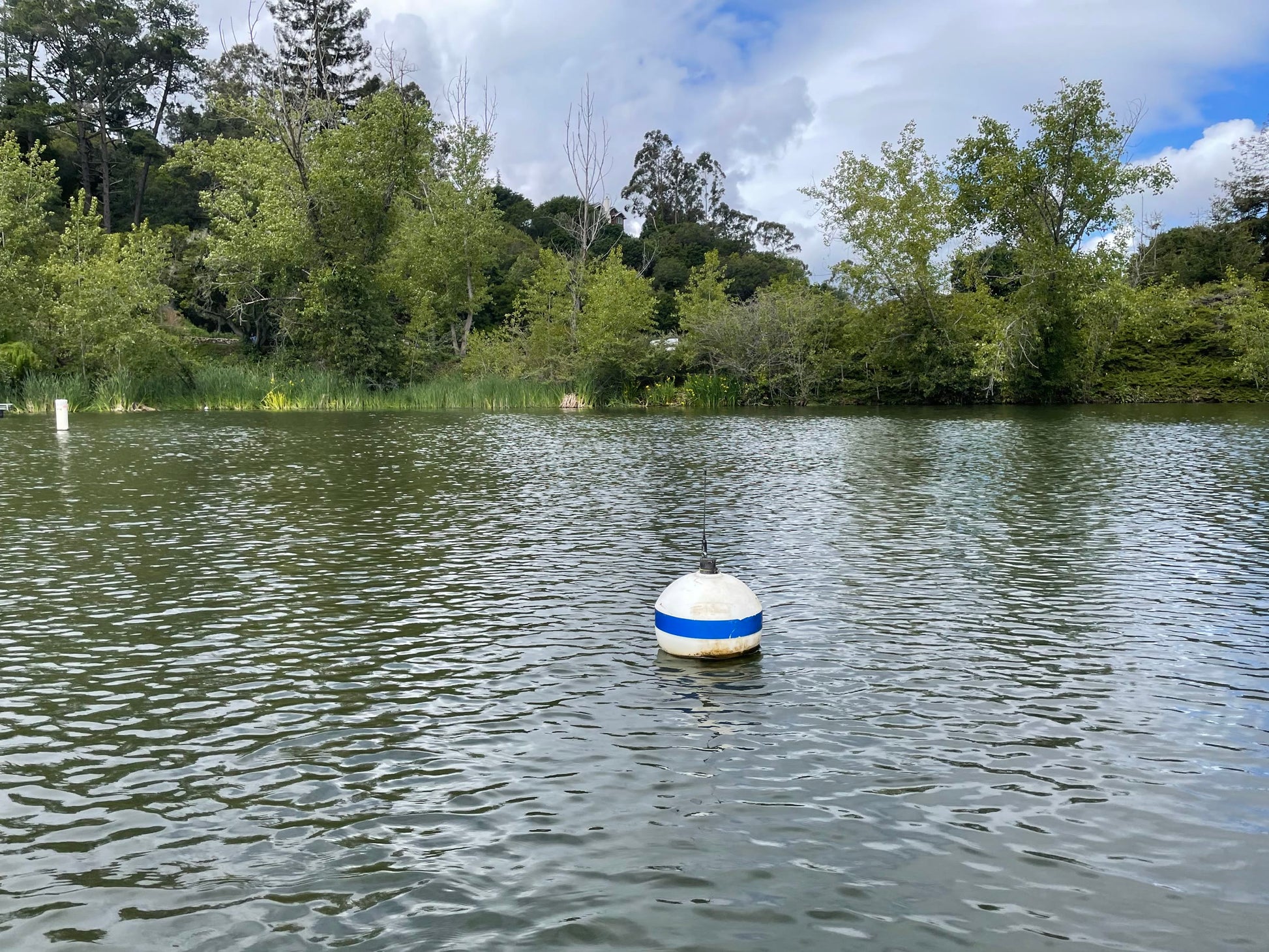 LakeTech buoy installed in a lake for continuous monitoring