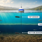 LakeTech Top/Bottom sensor locations in a stratified lake, with one trunk cable branching to black top and bottom probes