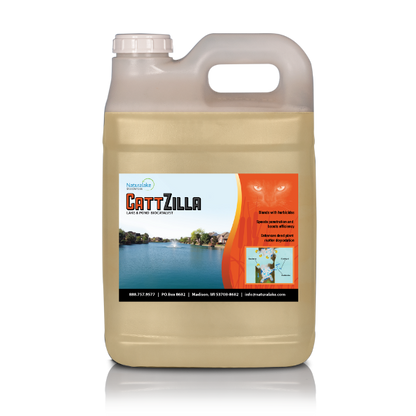 cattail herbicide treatment LakeTech | CattZilla Adjuvant