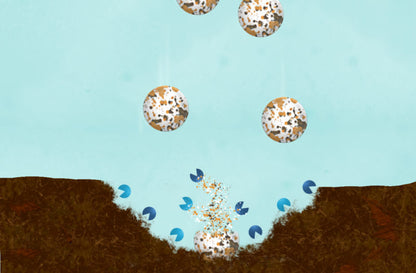 Diagram showing MuckBiotics tablets working at the sediment surface
